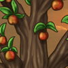 Apple Tree [Red]